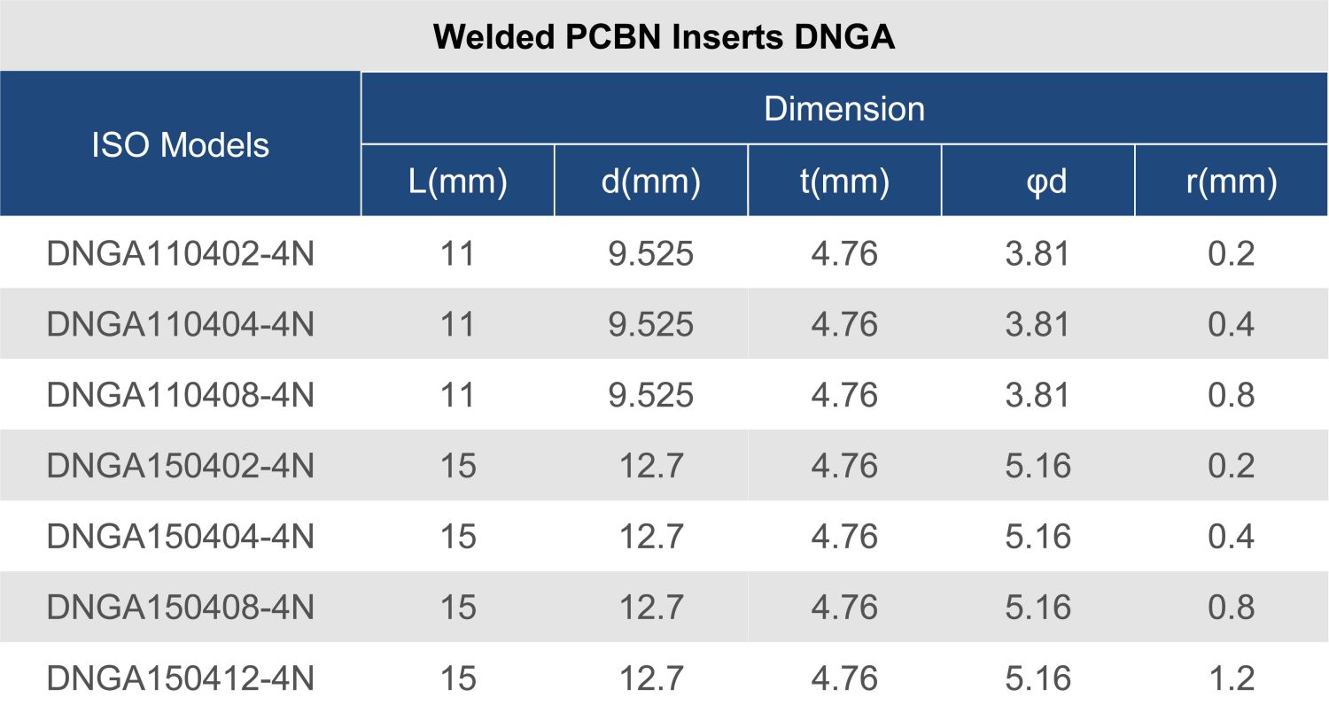DNGA-11.jpg DNGA-11.jpg
